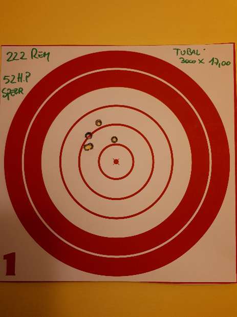 222 remington 52 HP Speer, Tubal 3000 x 17,00 grs